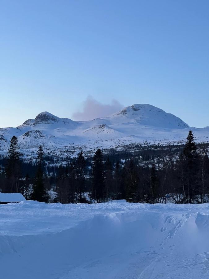 Brand New Cabin On The Sunny Side Of Gaustatoppen With A Great View Tuddal Dış mekan fotoğraf