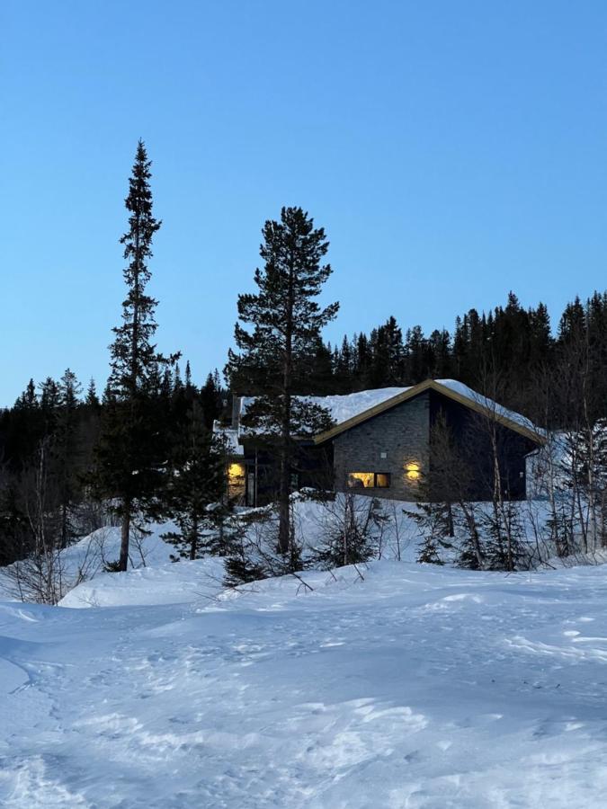 Brand New Cabin On The Sunny Side Of Gaustatoppen With A Great View Tuddal Dış mekan fotoğraf