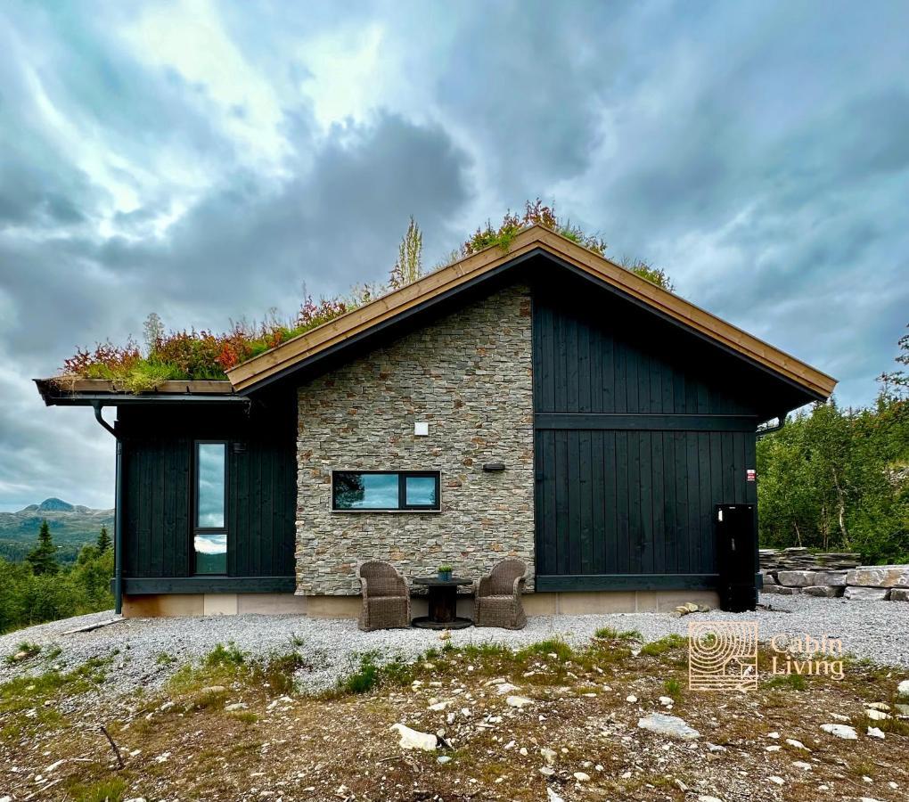 Brand New Cabin On The Sunny Side Of Gaustatoppen With A Great View Tuddal Dış mekan fotoğraf