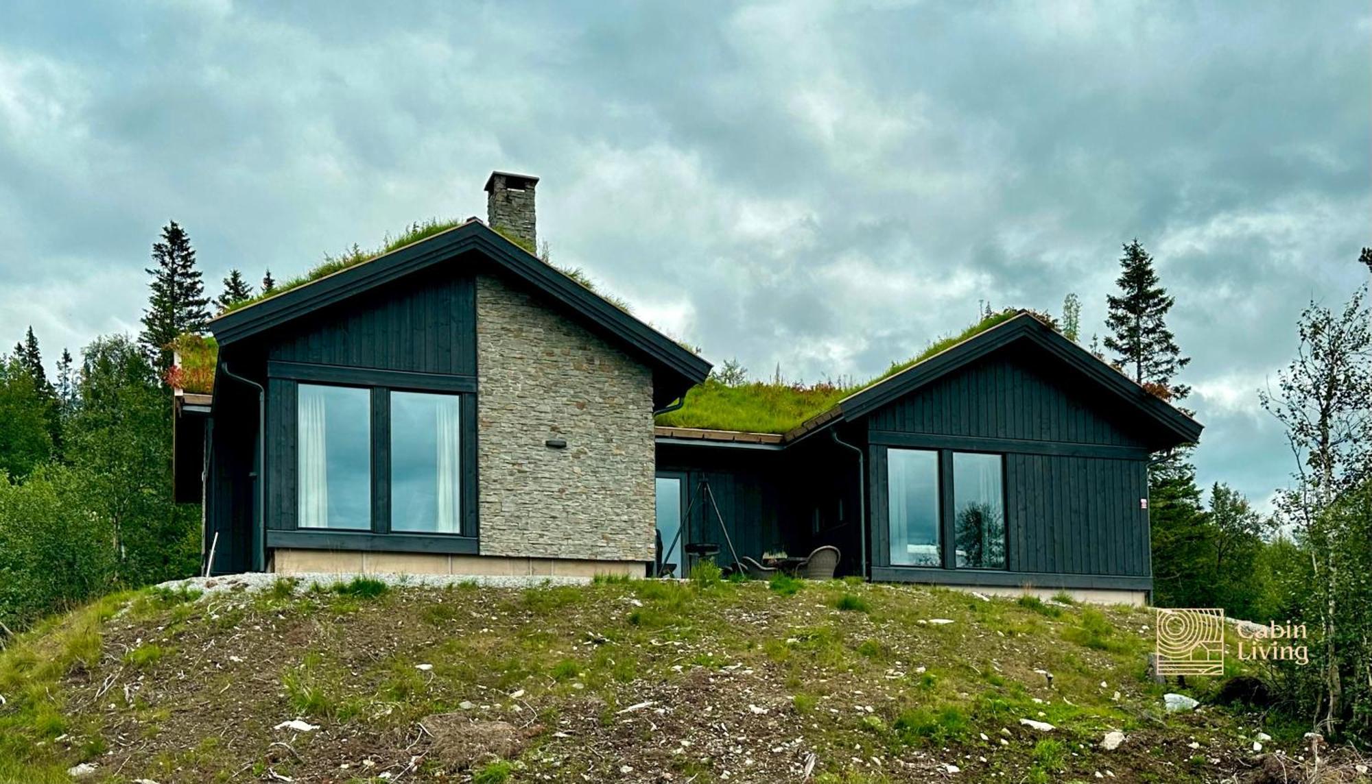 Brand New Cabin On The Sunny Side Of Gaustatoppen With A Great View Tuddal Dış mekan fotoğraf