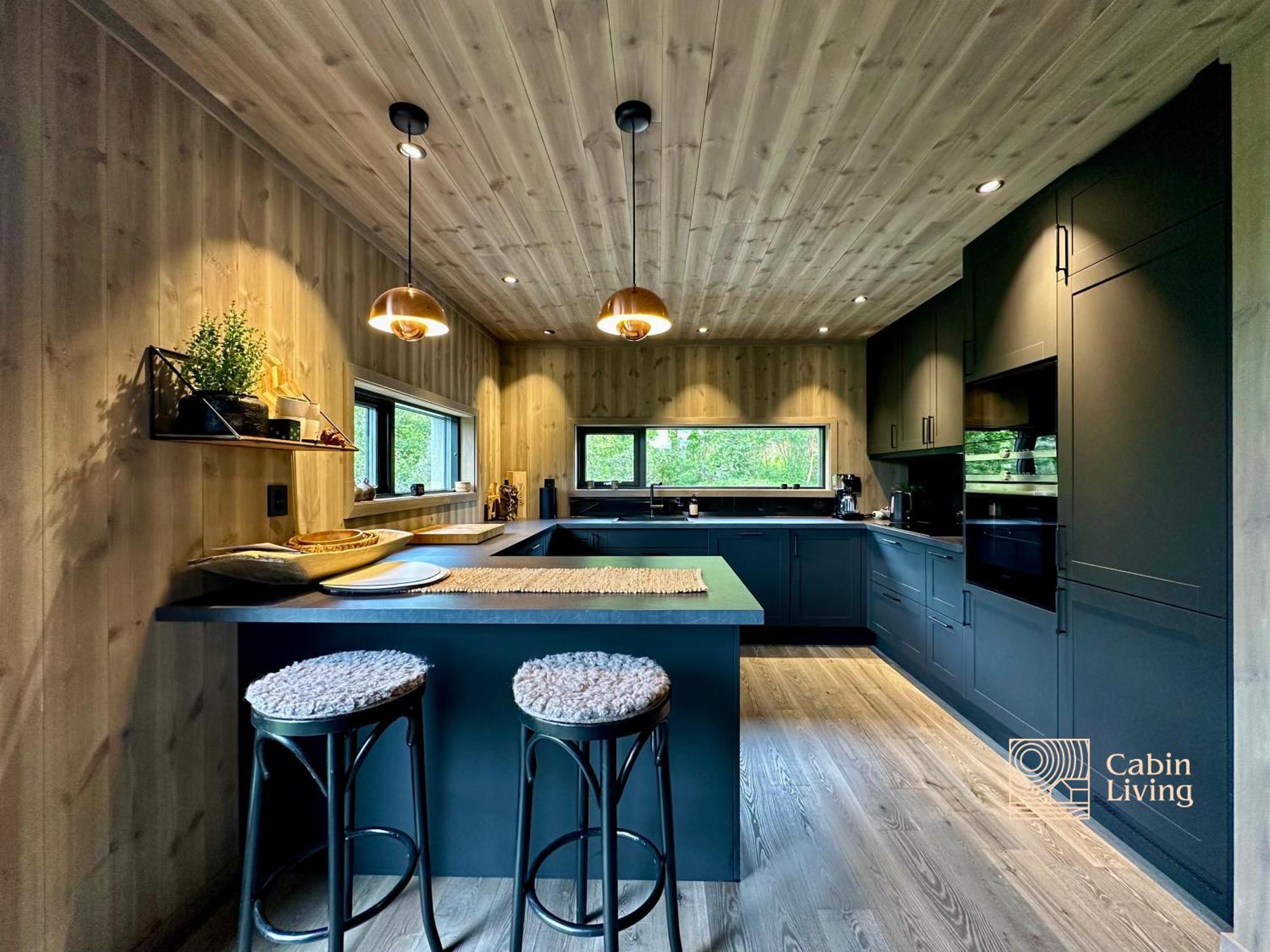 Brand New Cabin On The Sunny Side Of Gaustatoppen With A Great View Tuddal Dış mekan fotoğraf