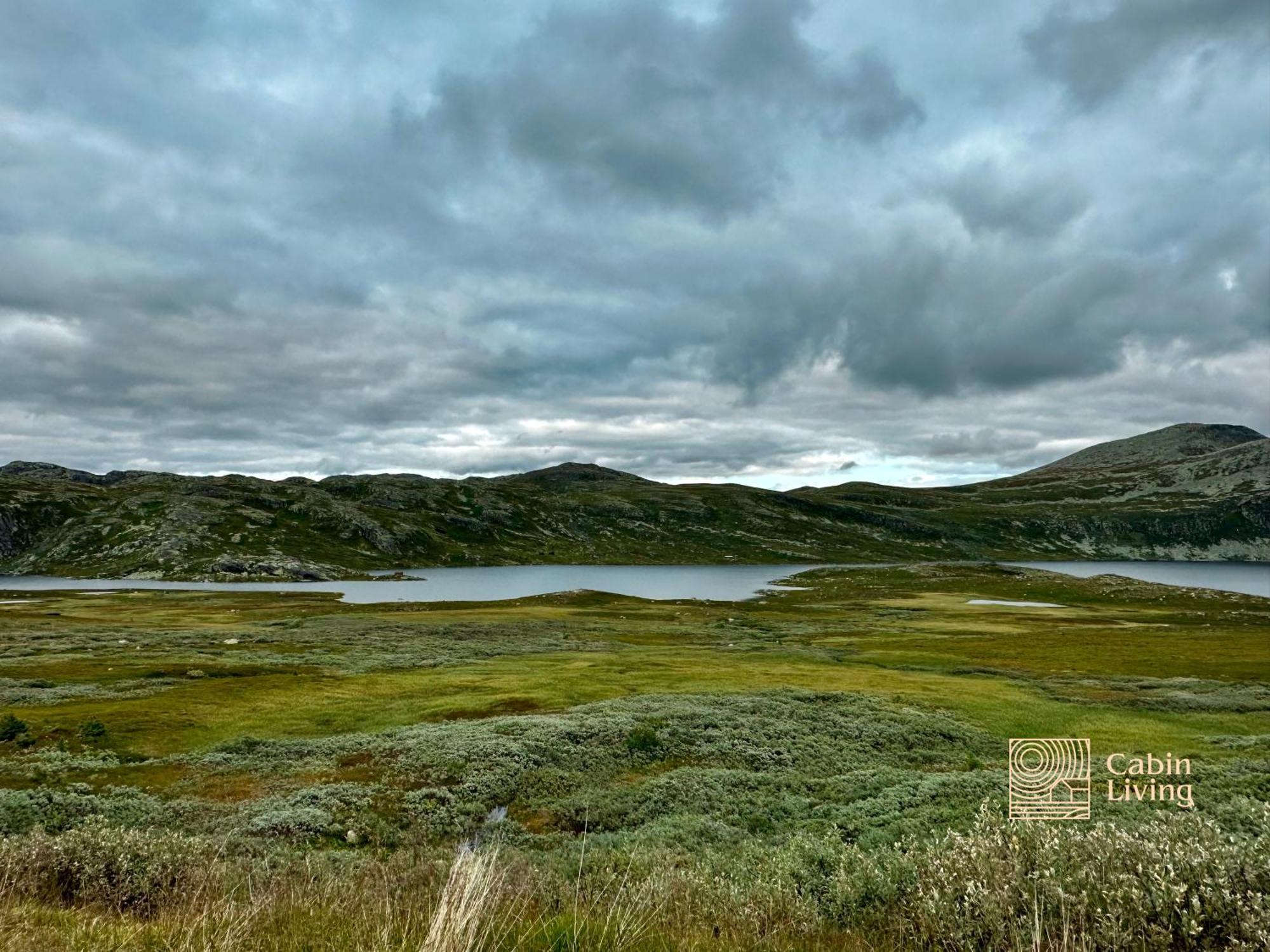 Brand New Cabin On The Sunny Side Of Gaustatoppen With A Great View Tuddal Dış mekan fotoğraf