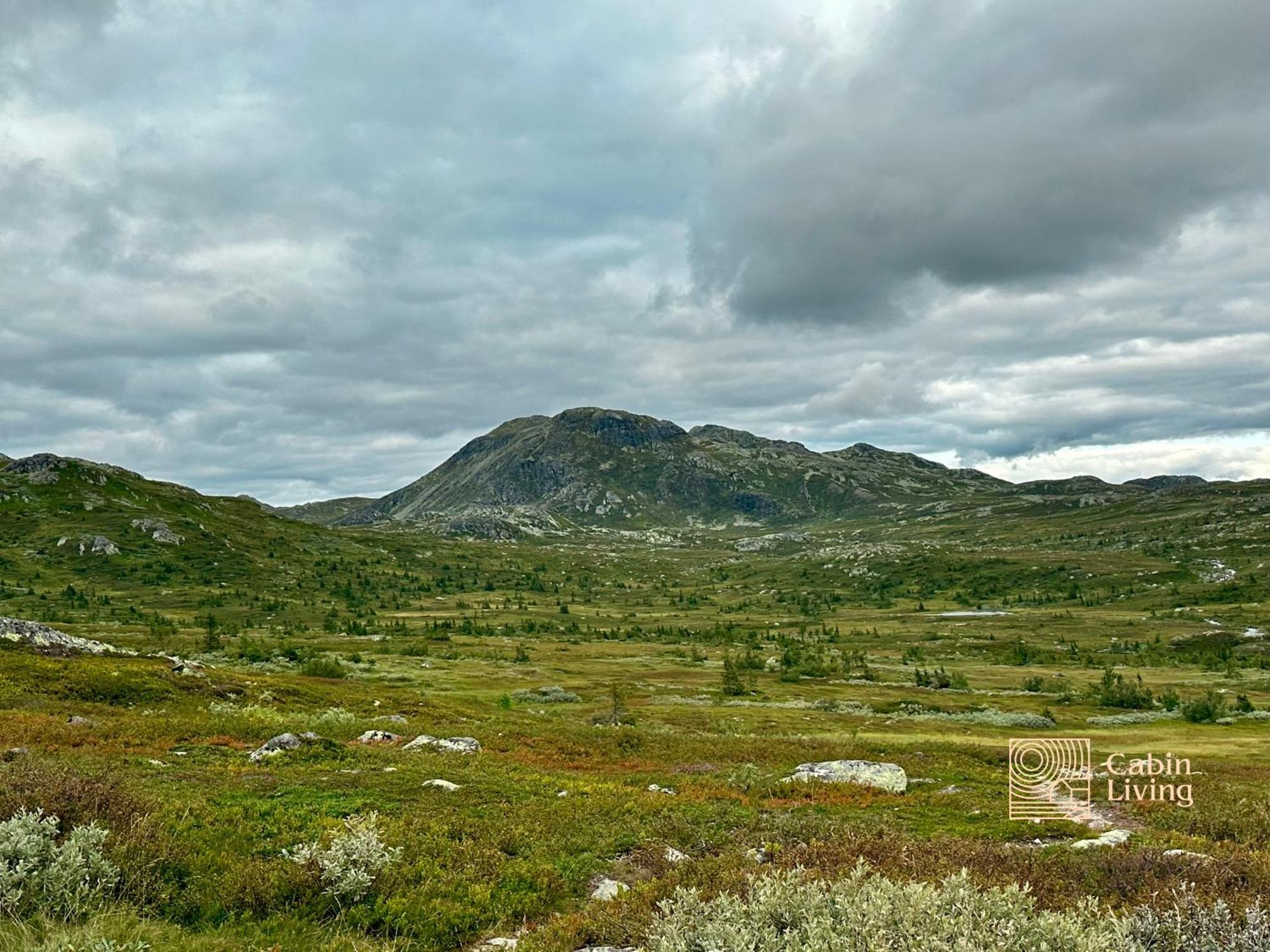 Brand New Cabin On The Sunny Side Of Gaustatoppen With A Great View Tuddal Dış mekan fotoğraf